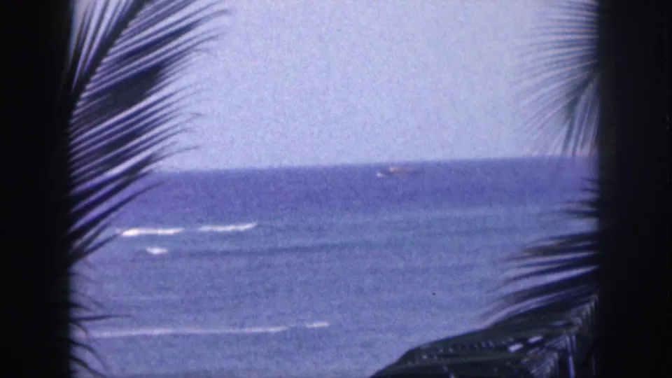 1959 Hawaii home-movie view of the ocean framed by silhouetted palm fronds, with surf lines and small boats in the distance.
