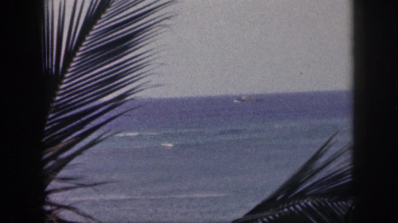 A small ship sits near the horizon beyond dark palm leaves and wind-ruffled water.