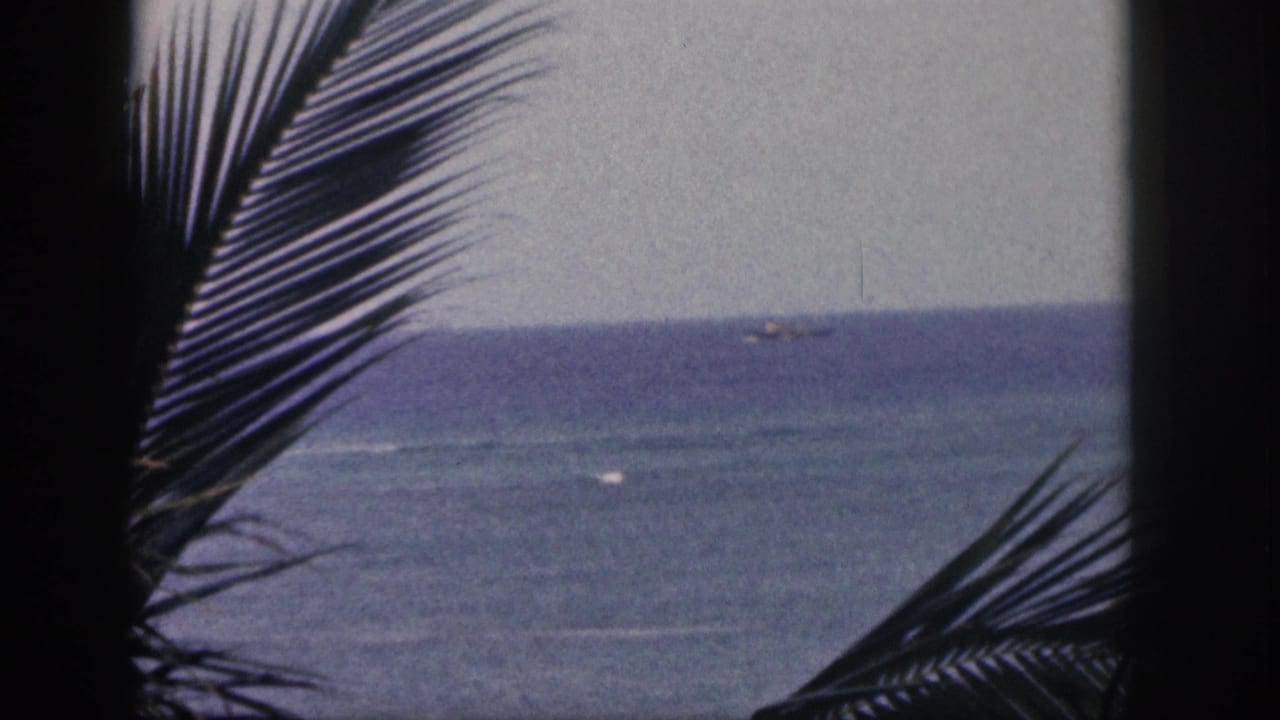 A visitor-shot Hawaii coastal frame shows palm foliage, choppy surf bands, and a distant ship under a muted sky.