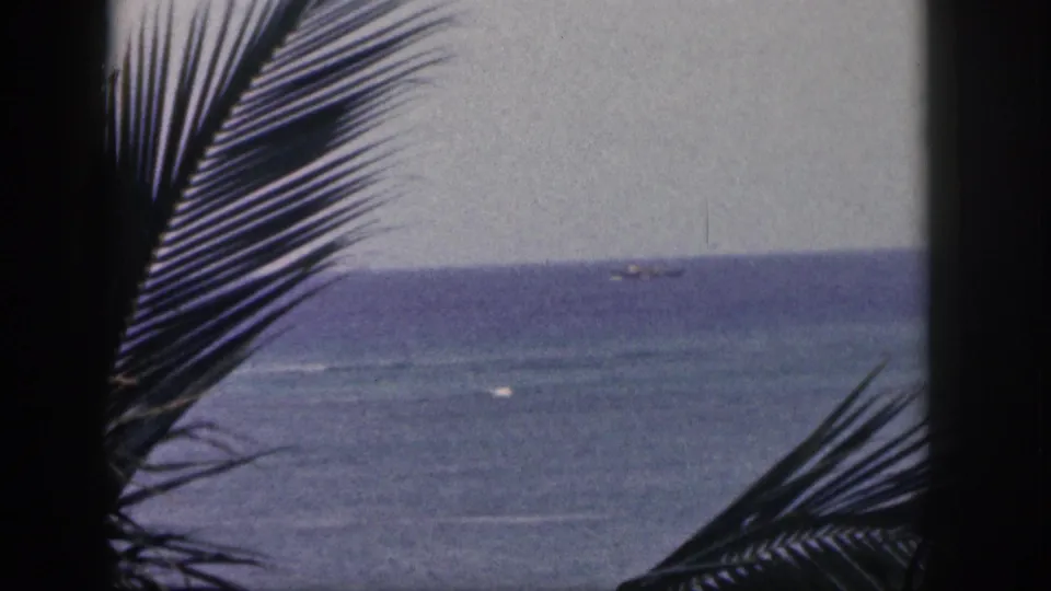 A visitor-shot Hawaii coastal frame shows palm foliage, choppy surf bands, and a distant ship under a muted sky.