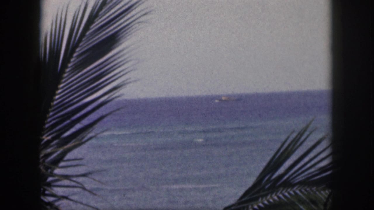 1959 Hawaii home-movie frame of a ship far offshore, seen through palm fronds over choppy coastal water.