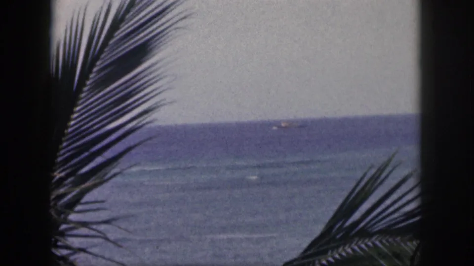 1959 Hawaii home-movie frame of a ship far offshore, seen through palm fronds over choppy coastal water.