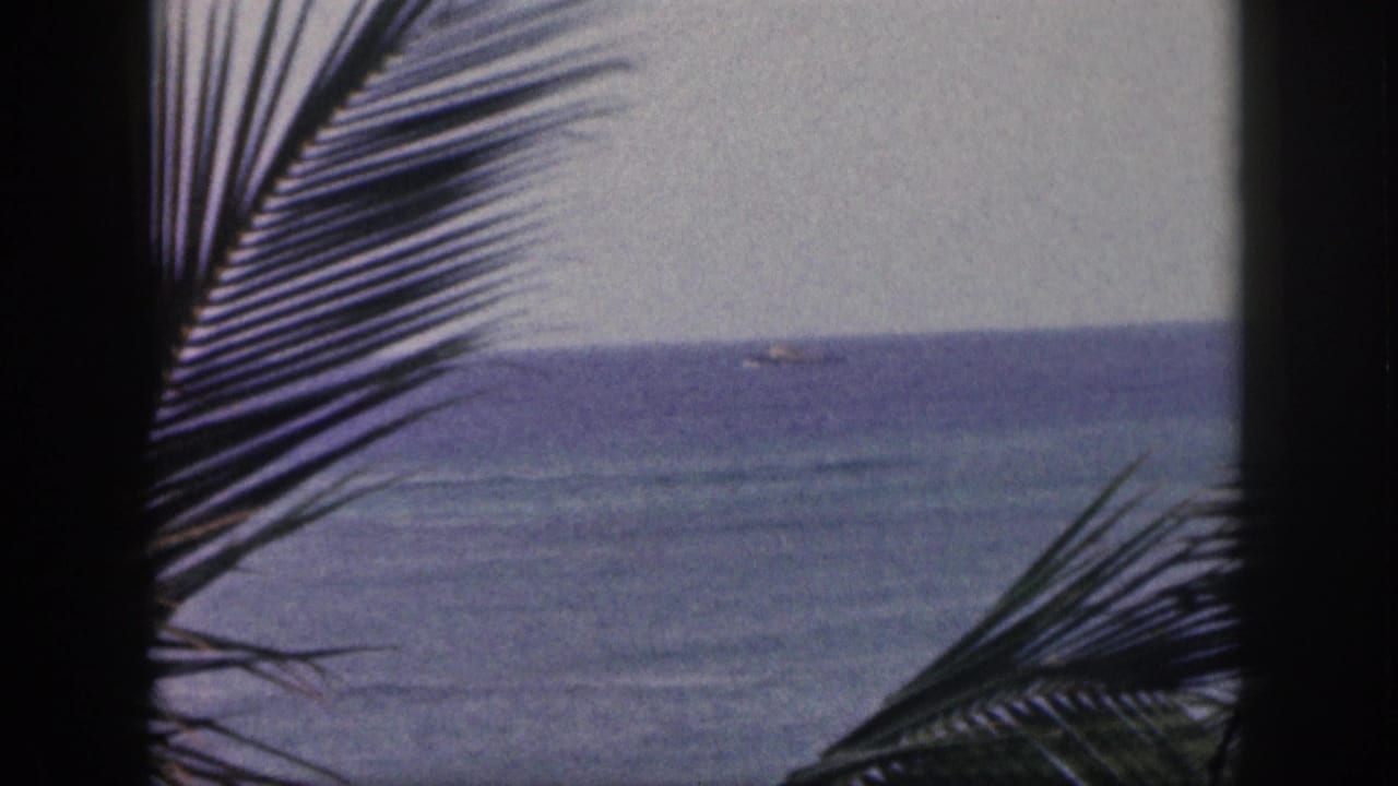 1959 Hawaii 8mm frame of blue ocean and hazy sky seen through dark palm fronds, with a tiny distant boat near the horizon.