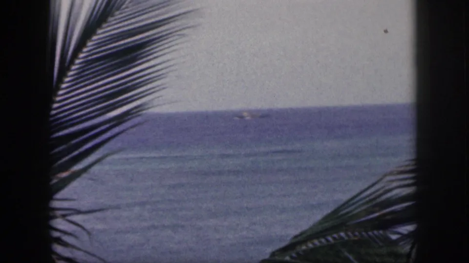 1959 Hawaii coastal view with palm fronds and a dark trunk in the foreground, looking out to blue water and a tiny distant boat.