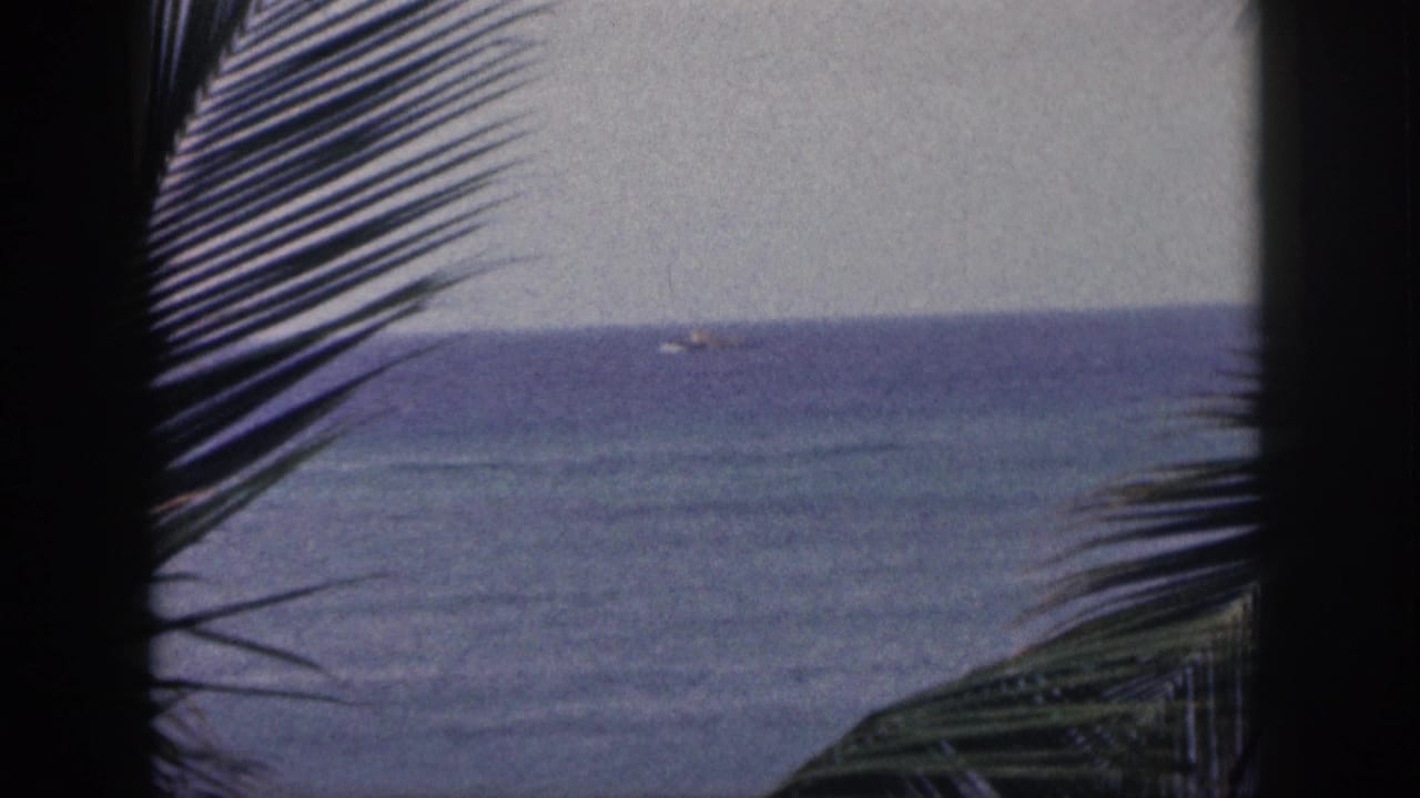 1959 Hawaii 8mm frame showing a shaded palm foreground and calm blue ocean, with a small boat far out near the horizon.