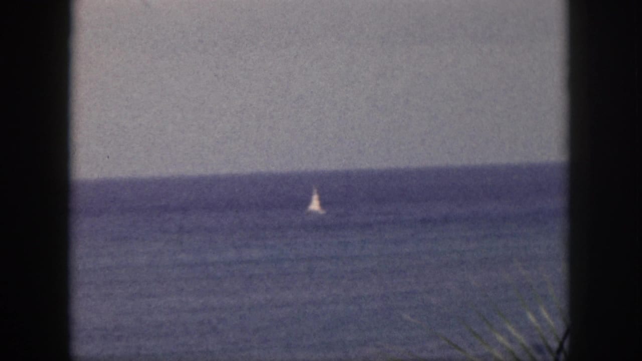 1959 Hawaii ocean frame with a small white sail visible offshore, bordered by dark palm trunks, palm fronds, and hazy sky.