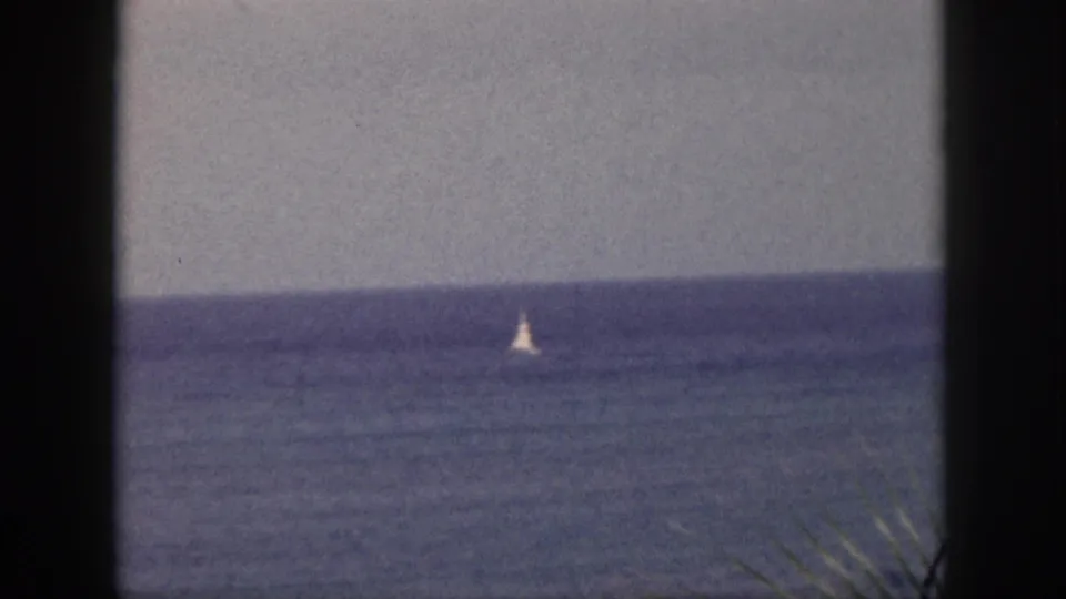 1959 Hawaii ocean frame with a small white sail visible offshore, bordered by dark palm trunks, palm fronds, and hazy sky.