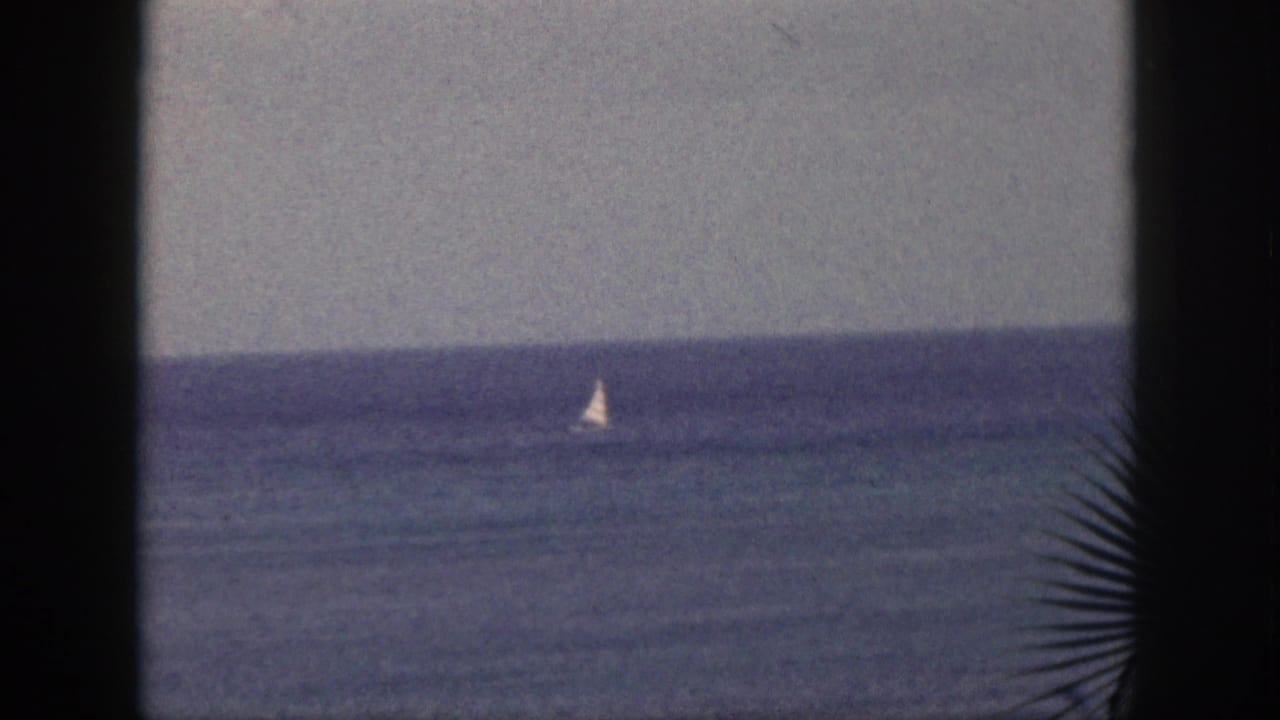 Small sailboat on the ocean with a palm frond and dark window-like edge in the foreground.
