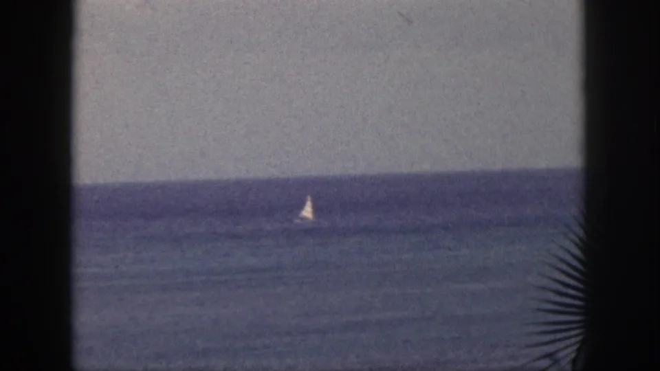 1959 Hawaii home-movie frame with a tiny white sailboat on the horizon, partly framed by a palm frond and dark vertical edge.