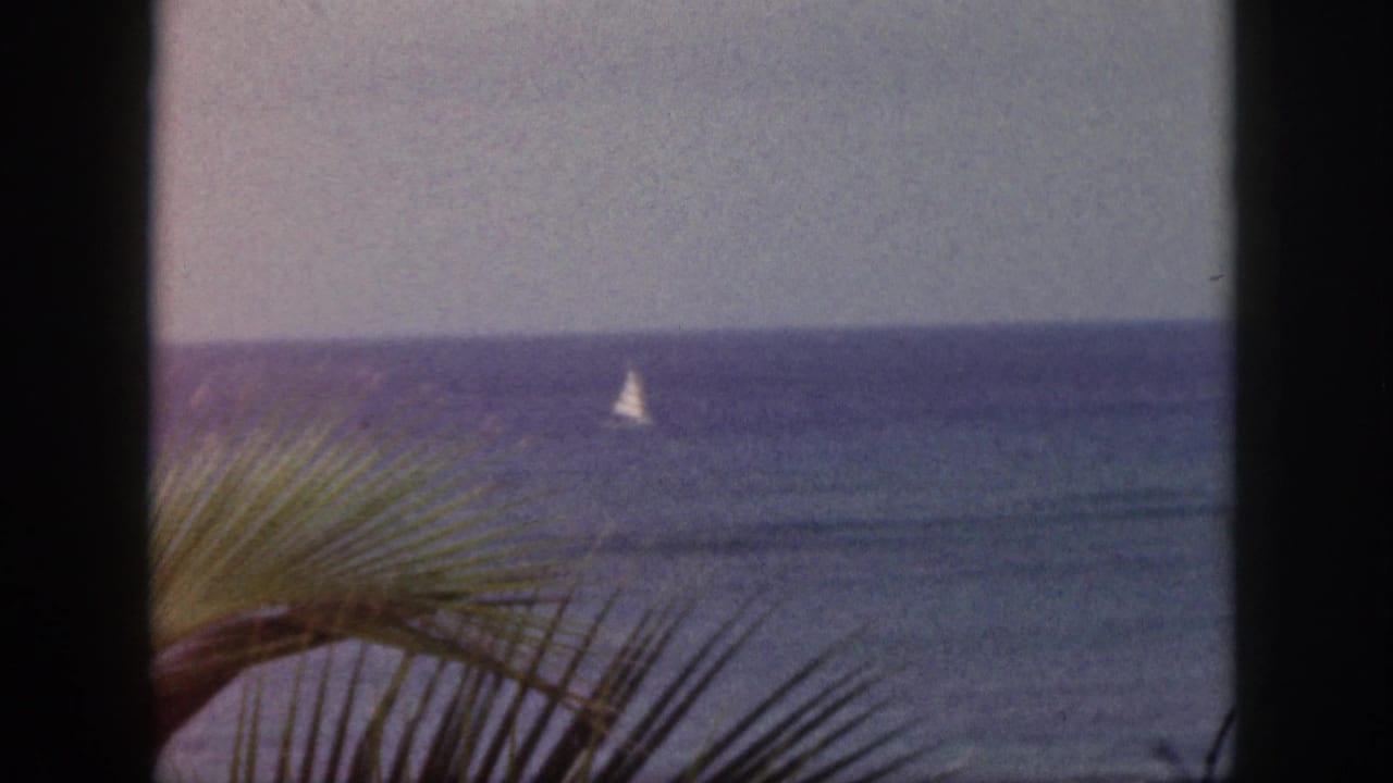 Small white sailboat on a blue ocean beyond palm fronds and dark frame edges.