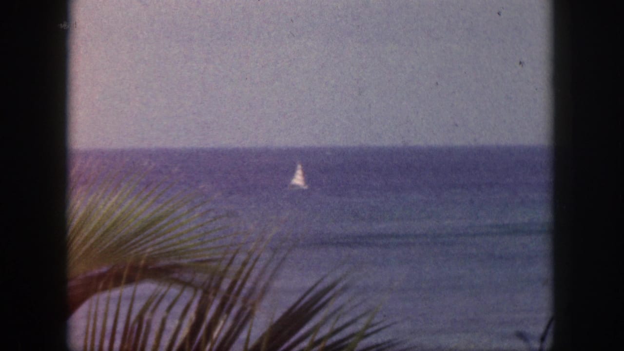 Distant sailboat near the horizon with palm fronds in the foreground.