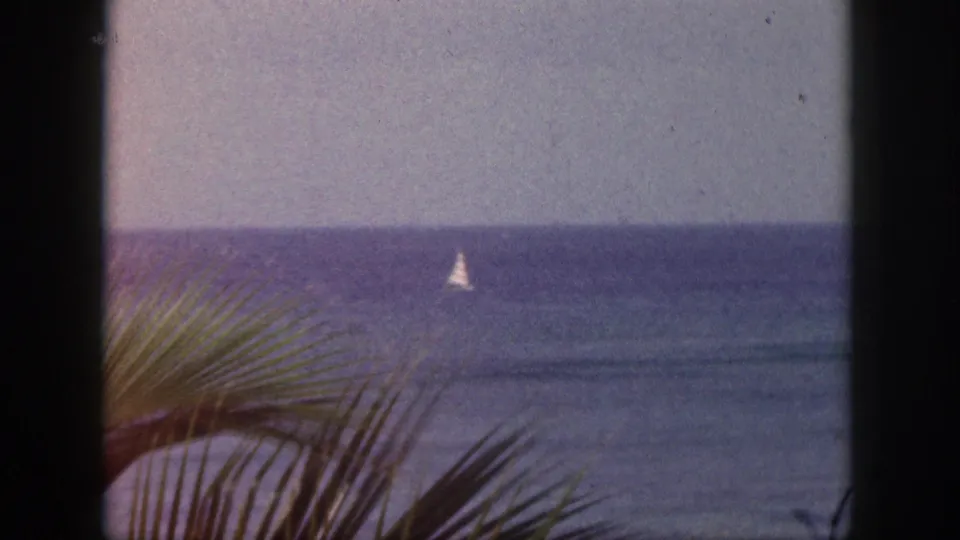 1959 Hawaii coastal home-movie frame with a white sailboat offshore and palm fronds crossing the lower foreground.