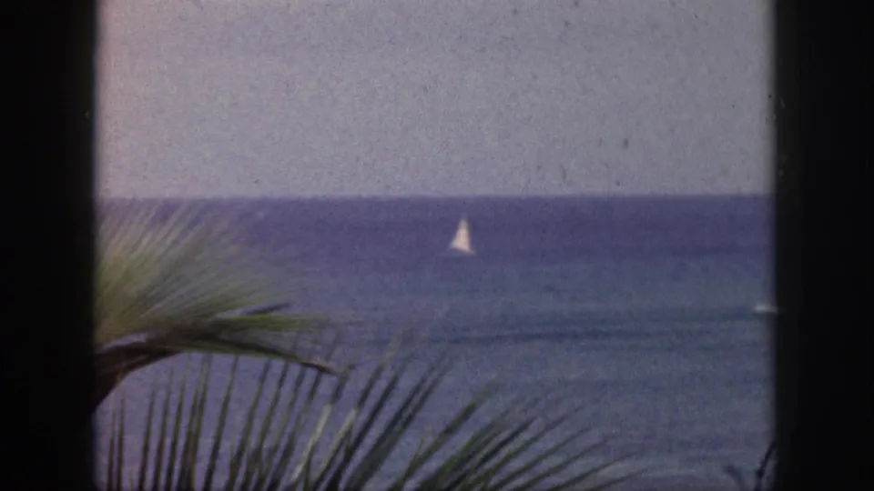 1959 Hawaii home-movie still of a sailboat on the ocean, viewed from behind palm fronds and dark foreground edges.