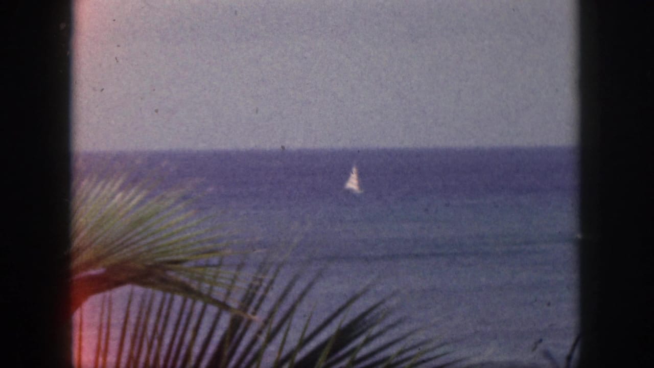 1959 Hawaii 8mm beach view with a small white sailboat on blue water, palm fronds in the foreground, and dark frame edges.