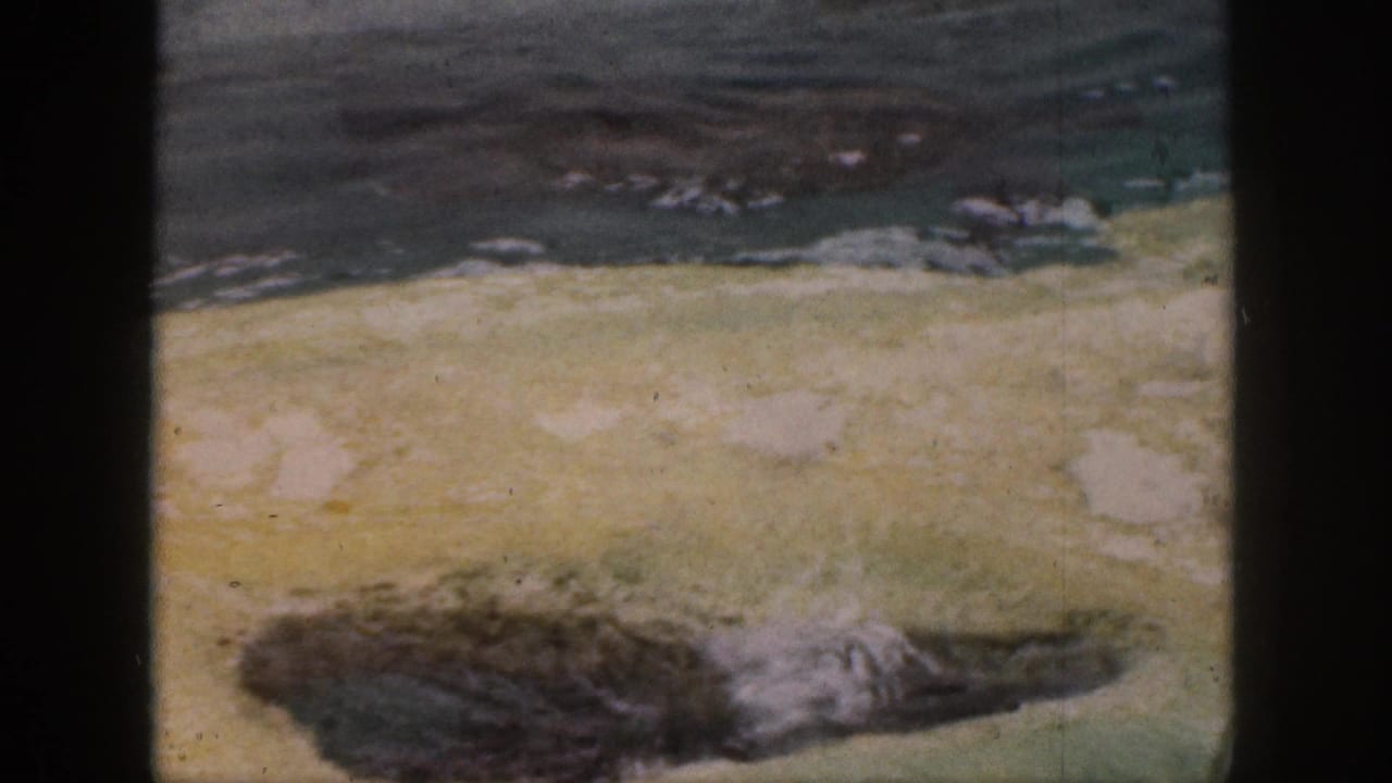 1959 Hawaii 8mm frame with a seal stretched along a sandy pool ledge, bordered by dark film edges.