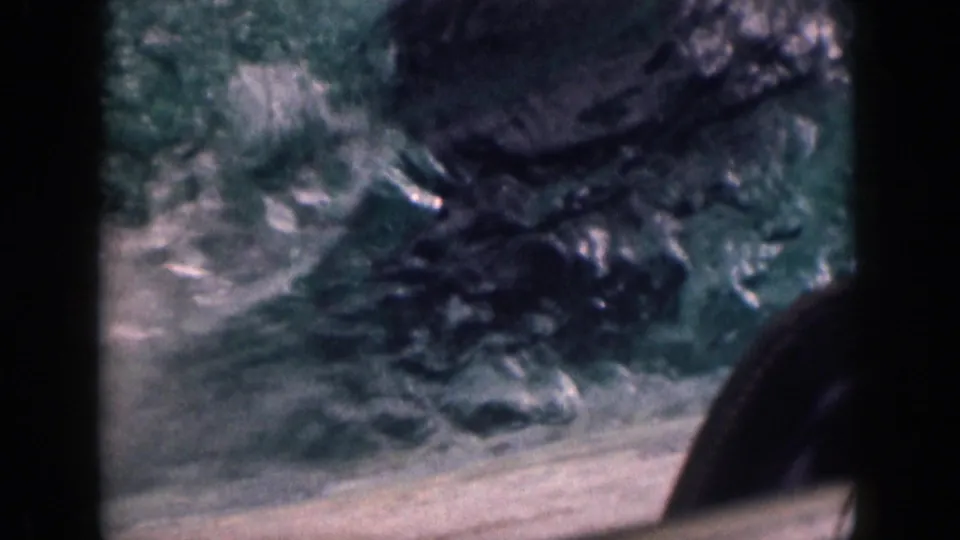 1959 Hawaii 8mm frame showing a dark seal partly cropped near rippling water and sandy enclosure ground.