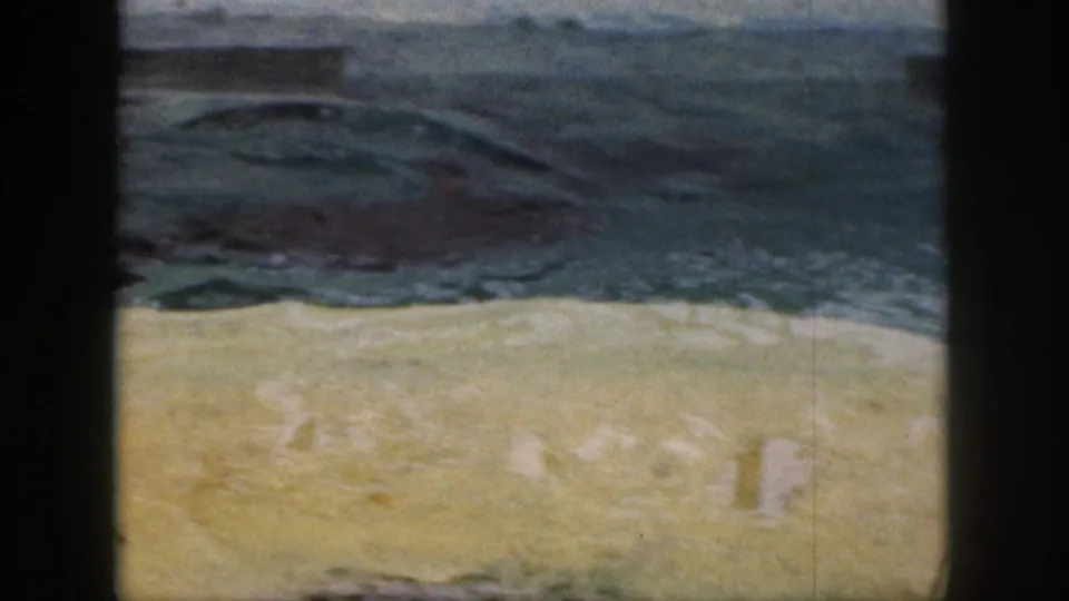 The seal is partly submerged along the green waterline, with pale enclosure edges visible in the 8mm frame.