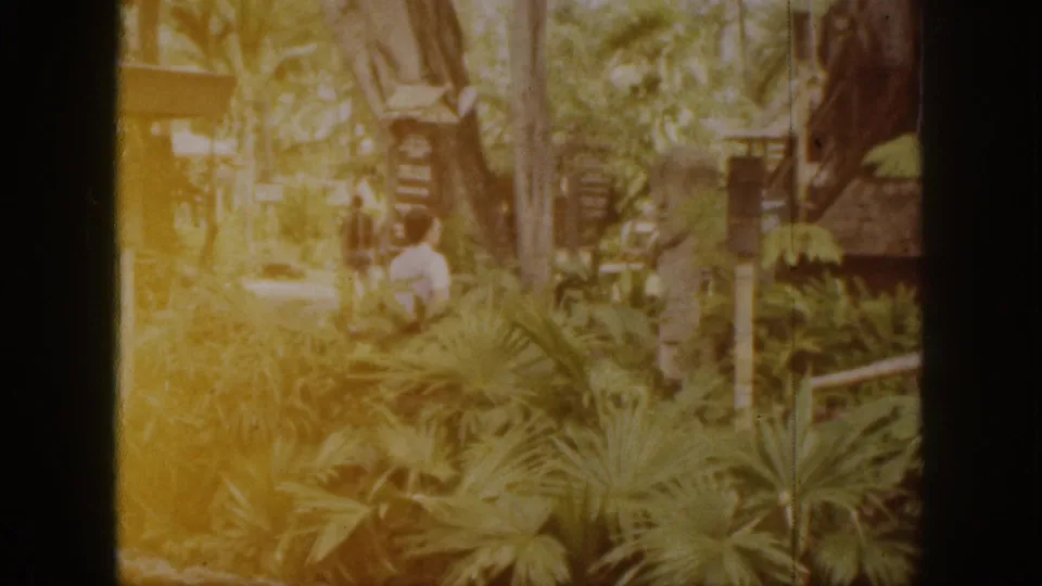 The clip shifts to a lush Hawaii garden view with palms, dense plants, and a distant person on a path.