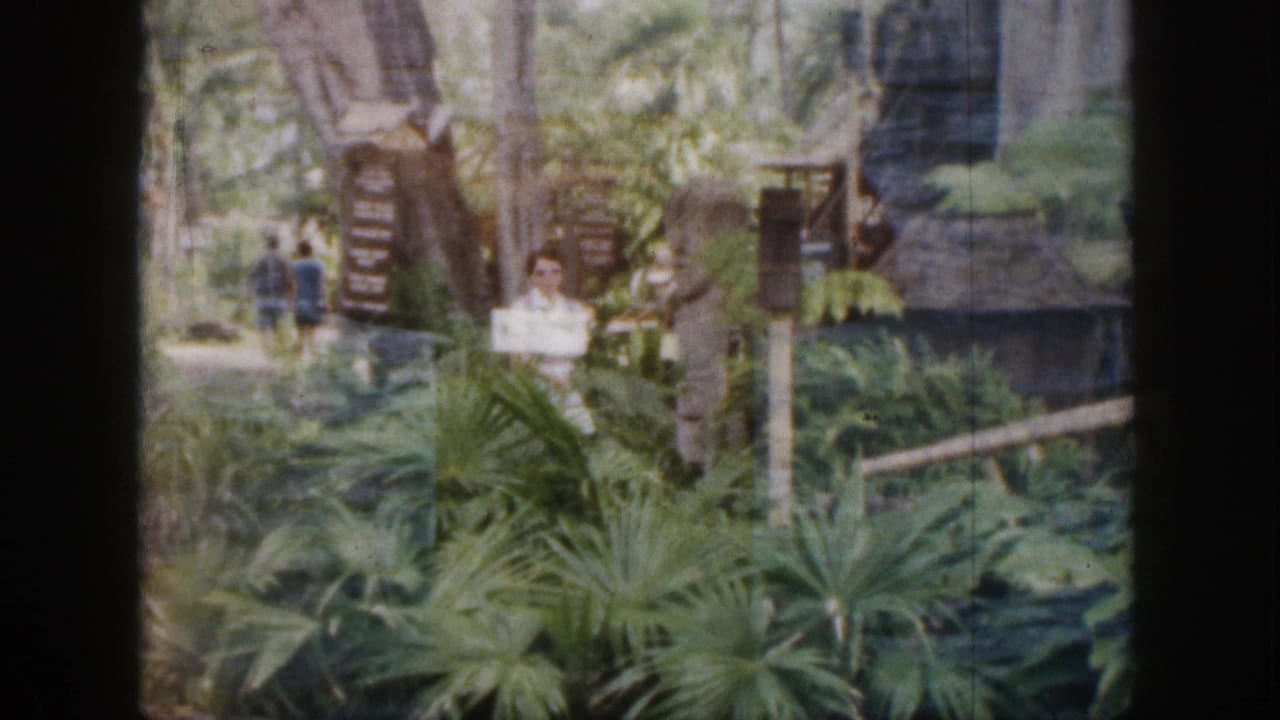 A woman in light clothing stands near signs and tropical planting.