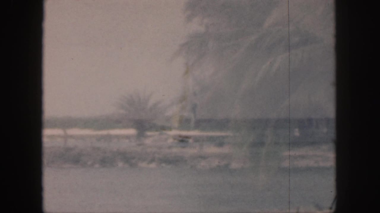 Hazy waterfront with palm silhouettes, calm water and dark 8mm frame edges.