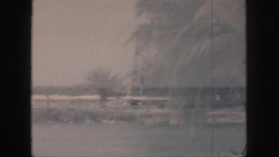 1959 Hawaii 8mm frame showing a soft, distant waterfront with palm trees, calm water and a faint shoreline.