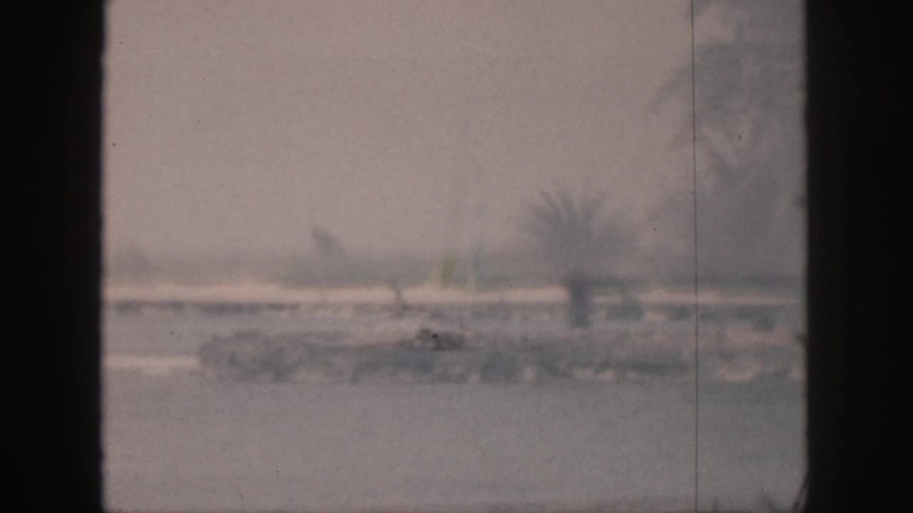 1959 Hawaii waterfront view with a barely visible sailboat or small craft near a low dock and palm-lined shore.