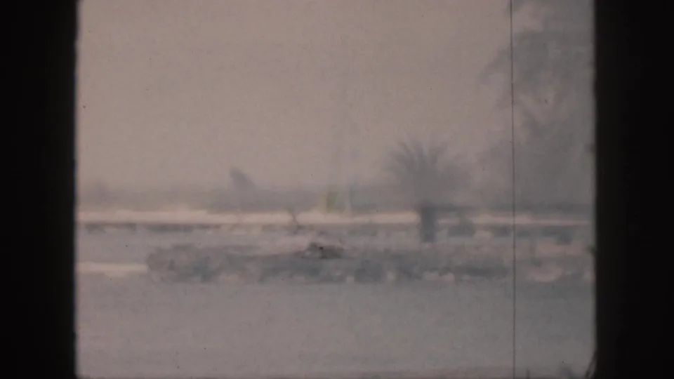 1959 Hawaii waterfront view with a barely visible sailboat or small craft near a low dock and palm-lined shore.