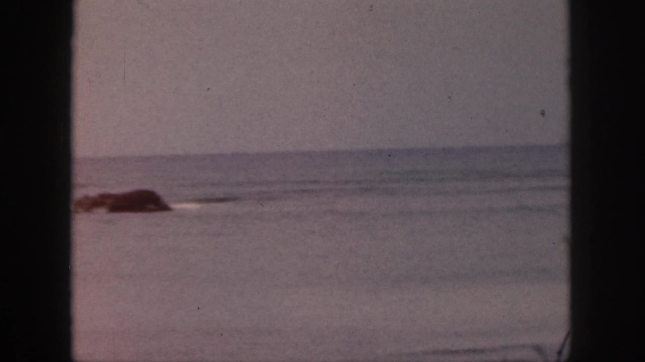 1959 Hawaii home-movie view of gray-blue ocean, low horizon, and a dark offshore rock framed by dark vertical bars.