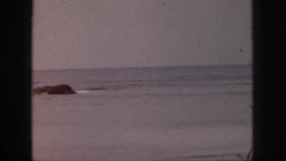1959 Hawaii home-movie view of gray-blue ocean, low horizon, and a dark offshore rock framed by dark vertical bars.