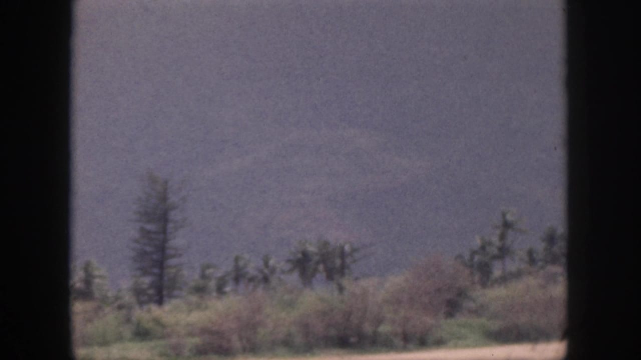 Misty hillside with shrubs and tall trees behind dark frame bars.
