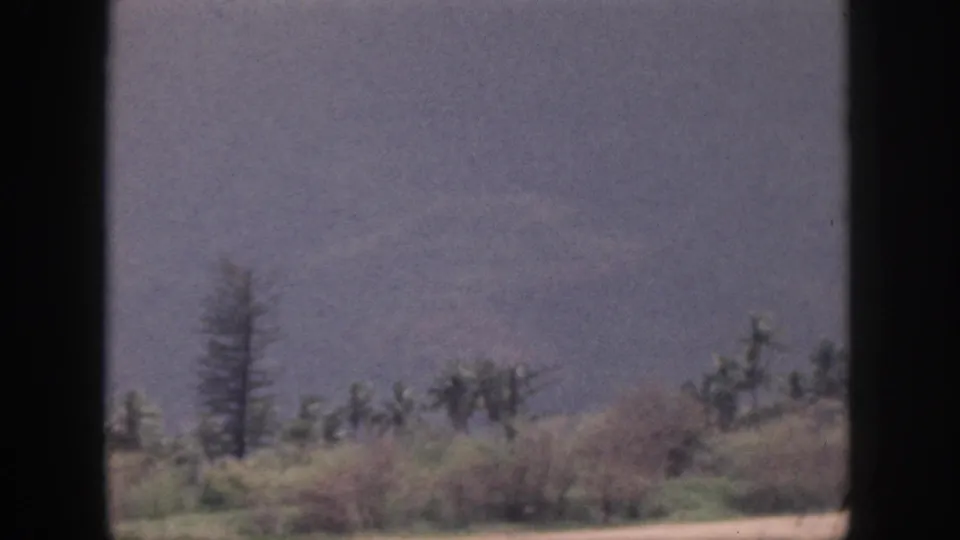 1959 Hawaii shoreline approach showing a hazy hillside, tall trees, and scrubby vegetation through a dark divided frame.