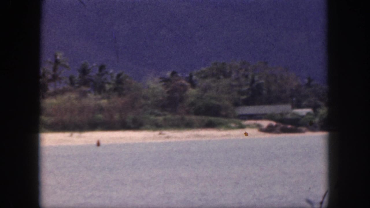 1959 Hawaii home-movie frame showing calm coastal water, a sandy beach, tree-covered shoreline, and a small beachside structure.