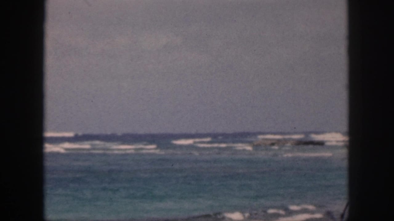 Ocean surf seen through dark vertical window bars.