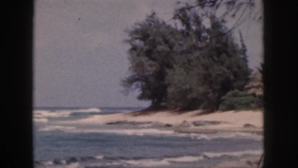1959 Hawaii home-movie frame showing a tree-covered sandy headland with white surf and a dark vertical window frame in the foreground.