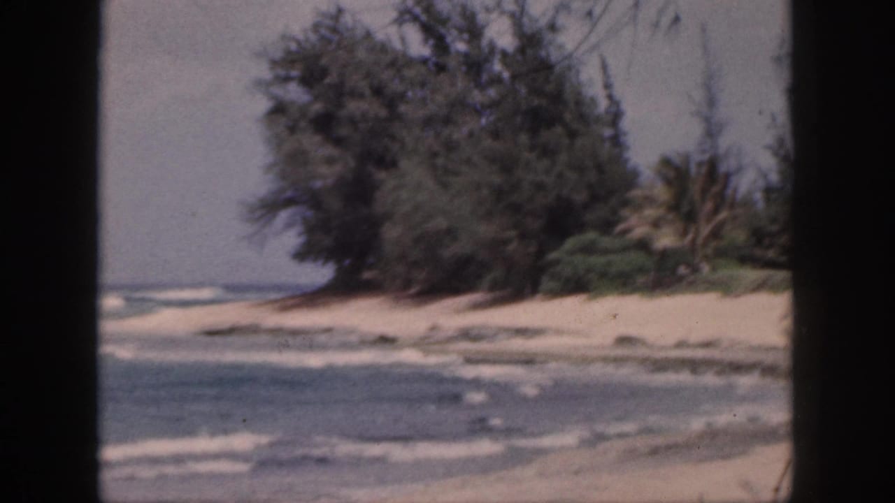 1959 Hawaii 8mm frame showing surf breaking near a sandy shoreline with dense coastal trees and palm foliage.