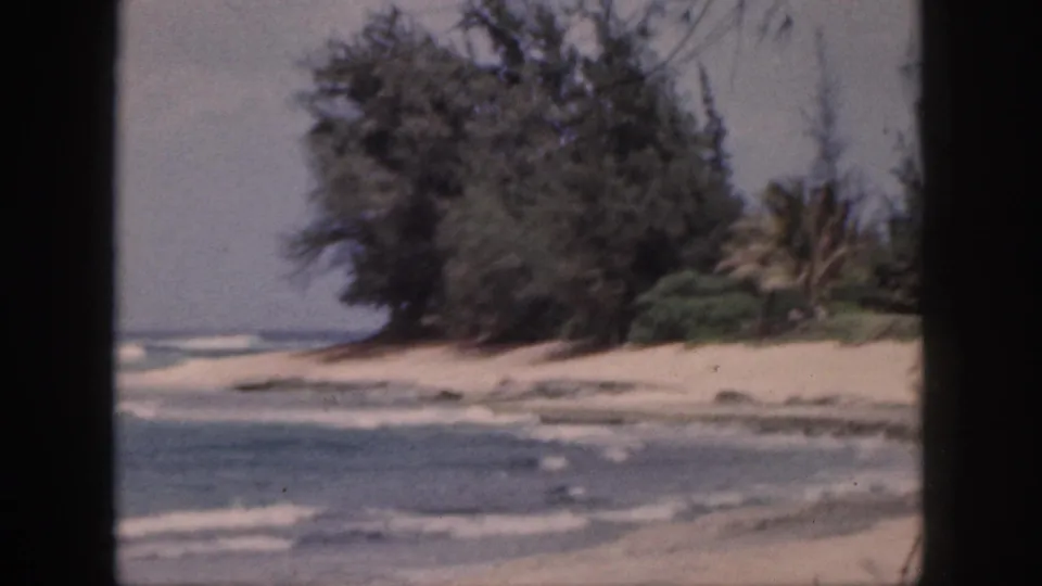1959 Hawaii 8mm frame showing surf breaking near a sandy shoreline with dense coastal trees and palm foliage.