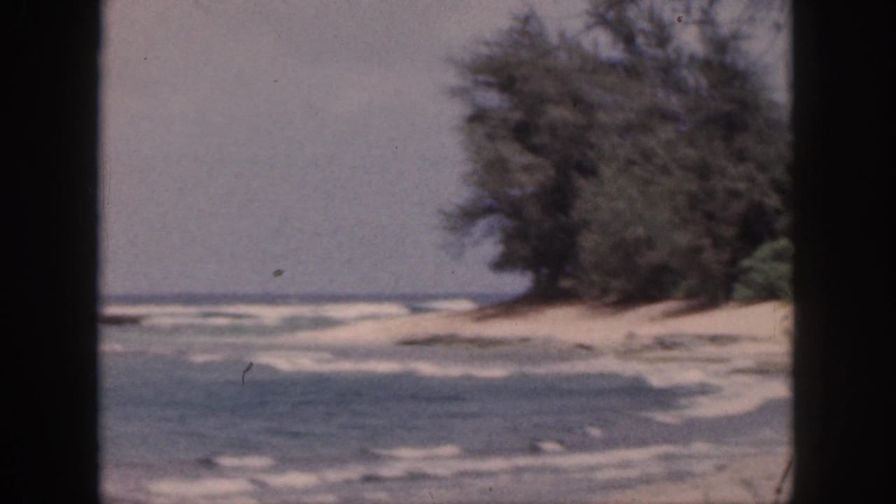 Ocean waves break beside a sandy point with trees at the edge of frame.