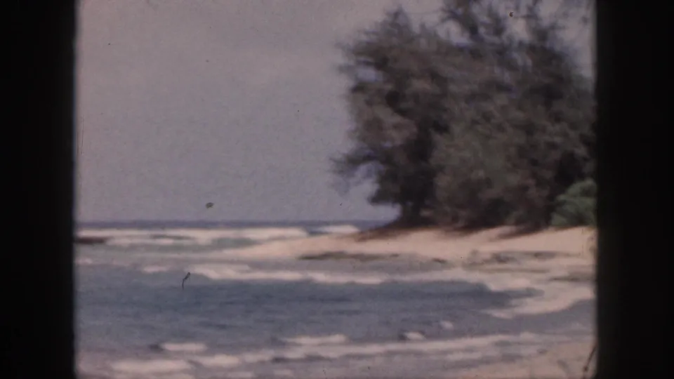 1959 Hawaii beach view with pale surf, sandy shoreline, and wind-shaped trees along the coast.