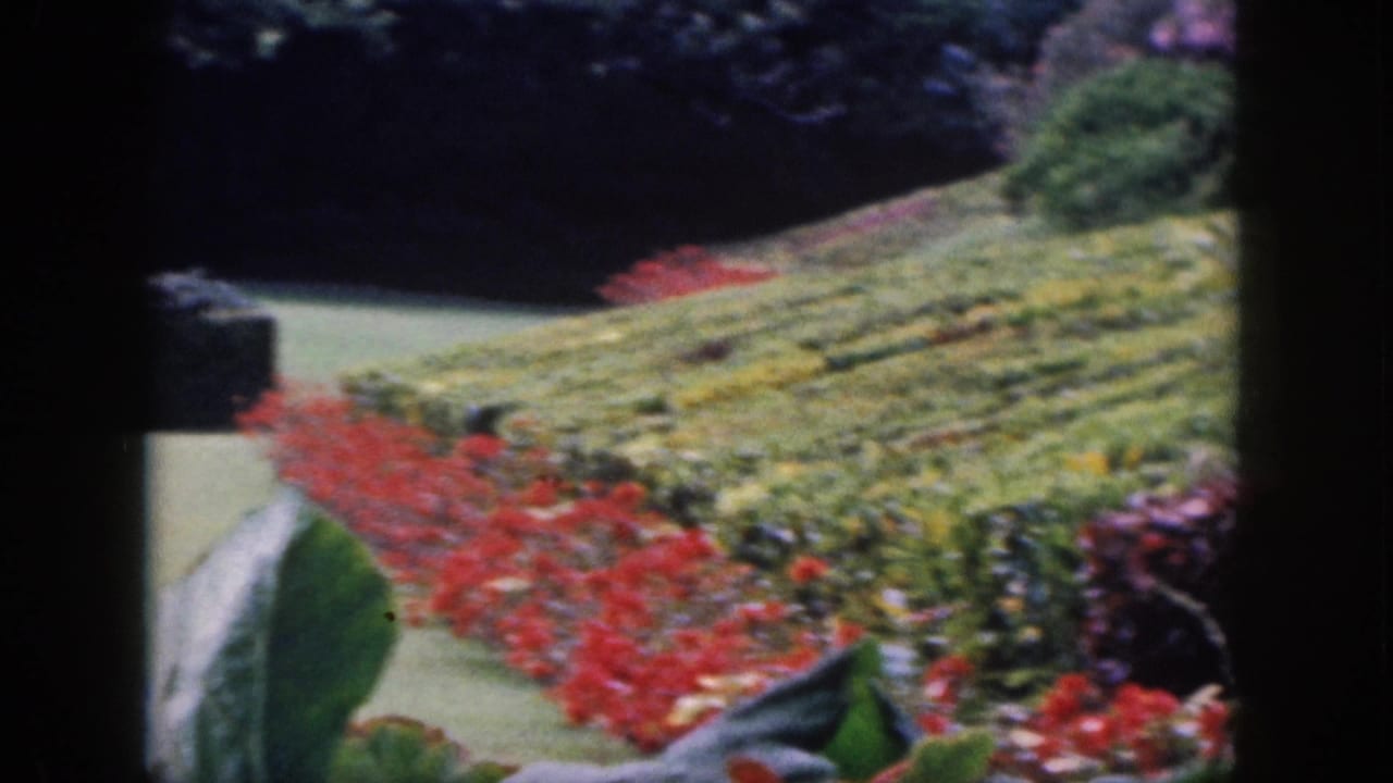 1959 Hawaii 8mm frame showing a manicured garden path, red flower border, yellow-green plantings, and shaded hedges.