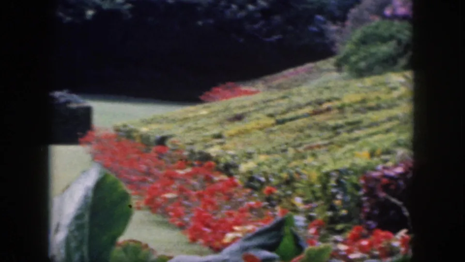 1959 Hawaii 8mm frame showing a manicured garden path, red flower border, yellow-green plantings, and shaded hedges.