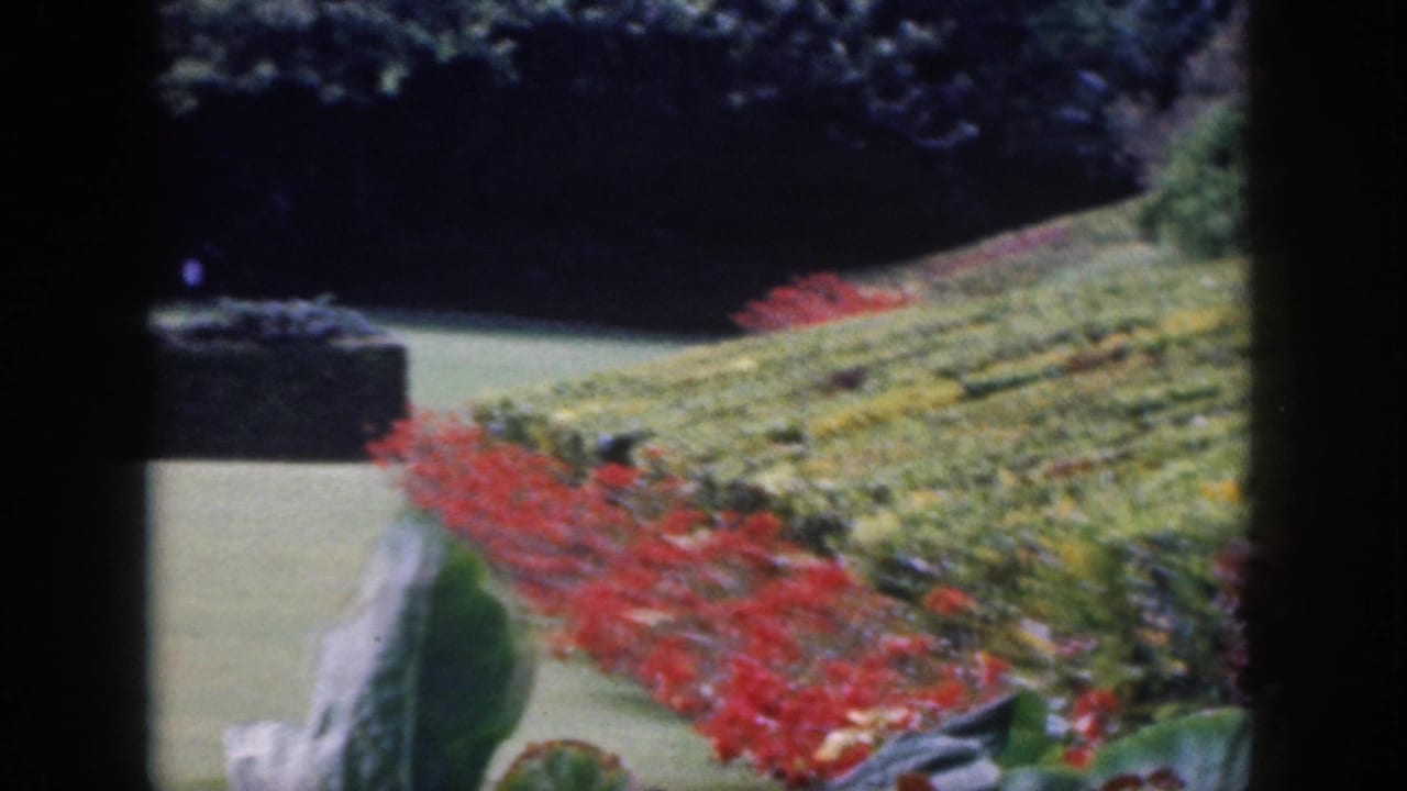 Red flower bed and sloped plantings beside a pale garden path and dark hedge.