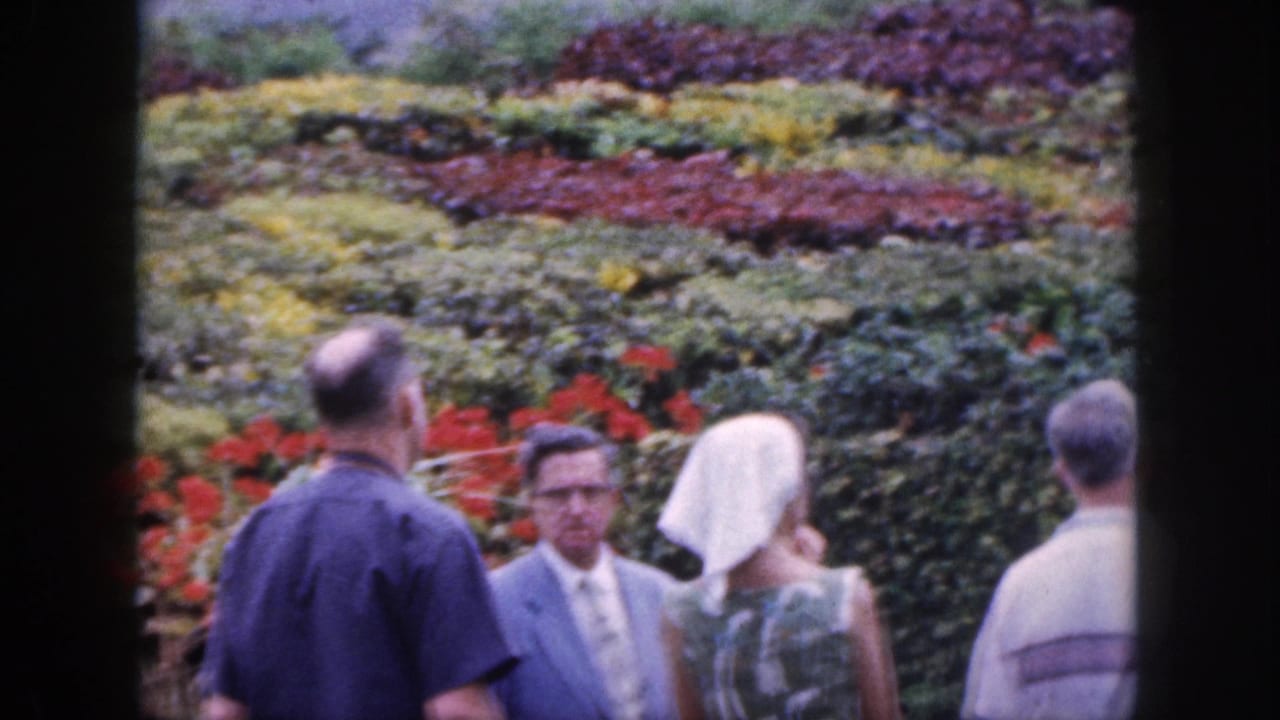 1959 Hawaii home-movie frame showing adult visitors beside red flowers and terraced planting rows, seen through dark film-frame edges.