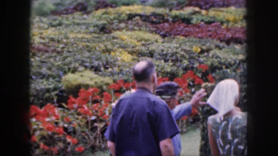 1959 Hawaii home-movie frame showing a man pointing or waving beside other adults at a colorful terraced flower garden.