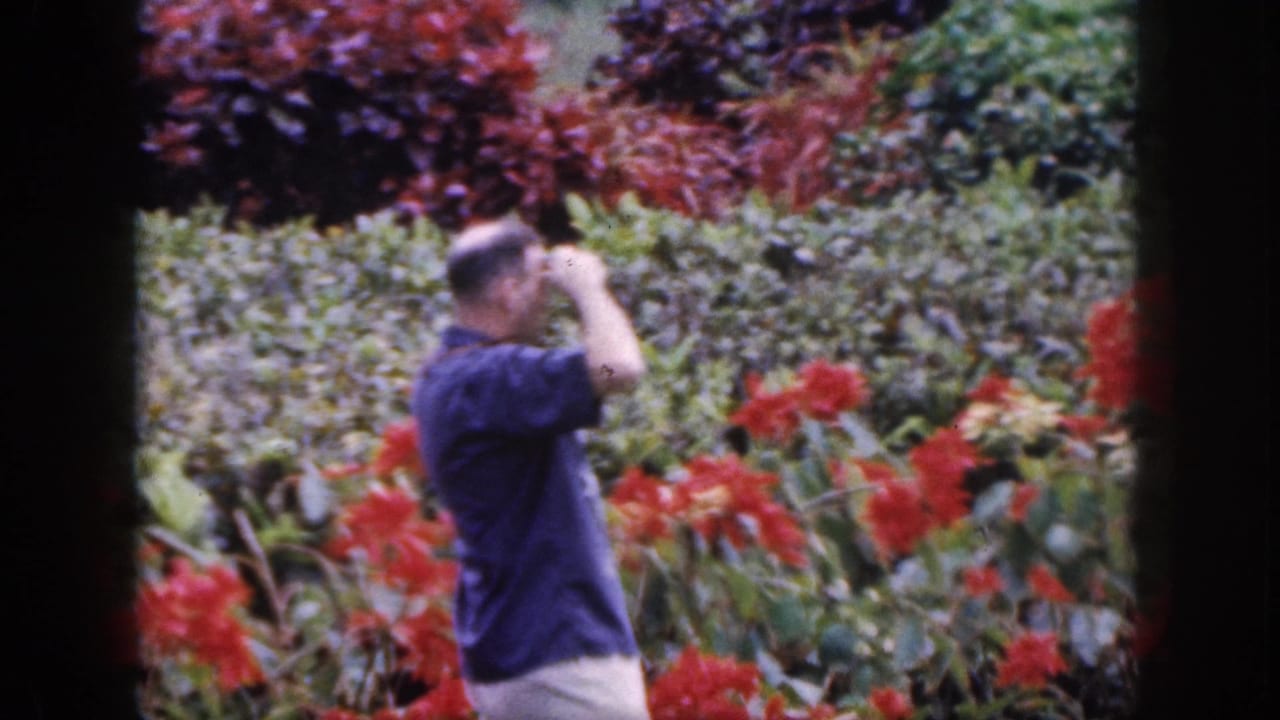 In 1959 Hawaii home-movie footage, a man in a blue shirt appears to film a garden bordered by vivid red flowers.