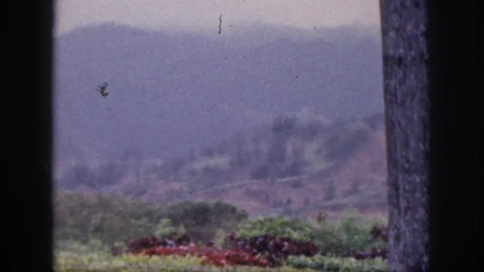 1959 Hawaii 8mm view of hazy mountain slopes, red flowers, and green vegetation between dark vertical foreground edges.