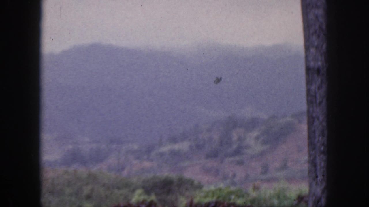 1959 Hawaii home-movie frame showing hazy hills and tropical greenery through a dark-framed foreground.