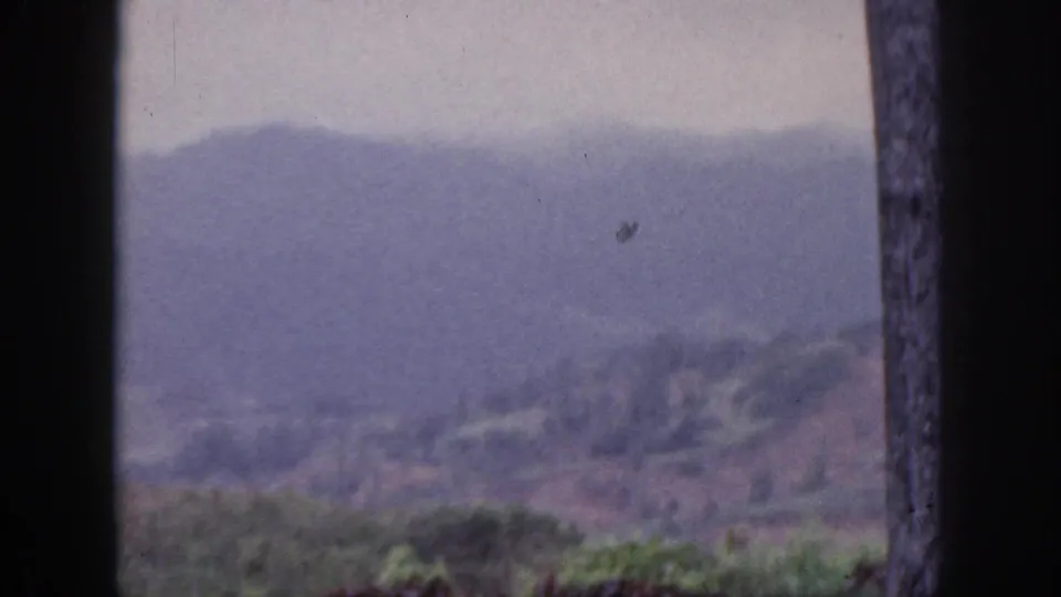 1959 Hawaii home-movie frame showing hazy hills and tropical greenery through a dark-framed foreground.