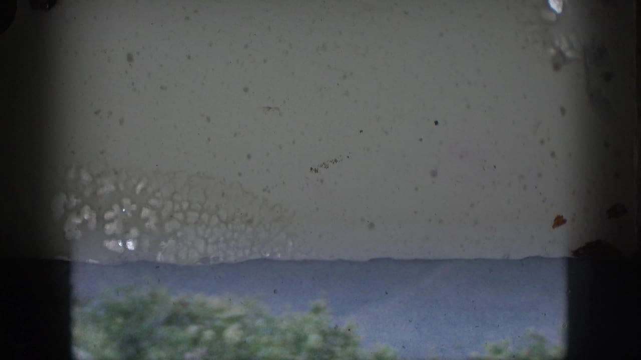 1959 Hawaii 8mm frame looking through a dark window frame toward treetops and a distant hazy mountain ridge.