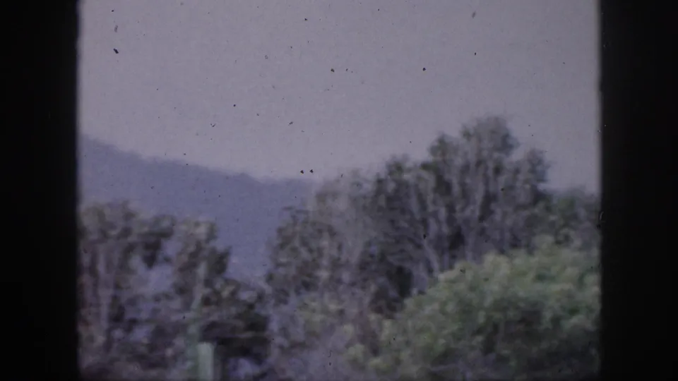 1959 Hawaii 8mm frame showing soft-focus treetops and a hazy mountain slope through dark window framing.