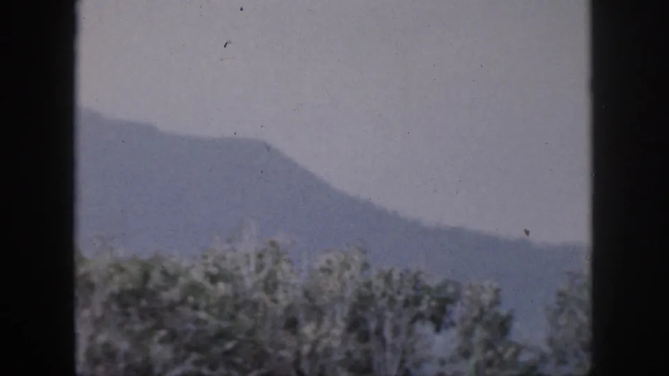 1959 Hawaii travel footage frame with dense treetops below a broad hazy mountain ridge and pale sky.